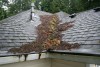 roof-maintenance1.jpg