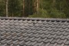 Flender Flux - Медная проволока на коньке.jpg