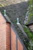 roof_moss_controled_by_flashings_dsc_0142.jpg